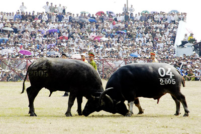 Hải Phòng intensifica promoción de industria sin humo